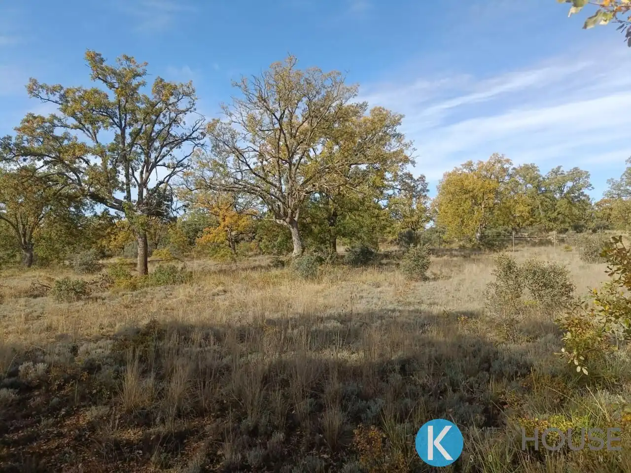Land for sale in Pastrana