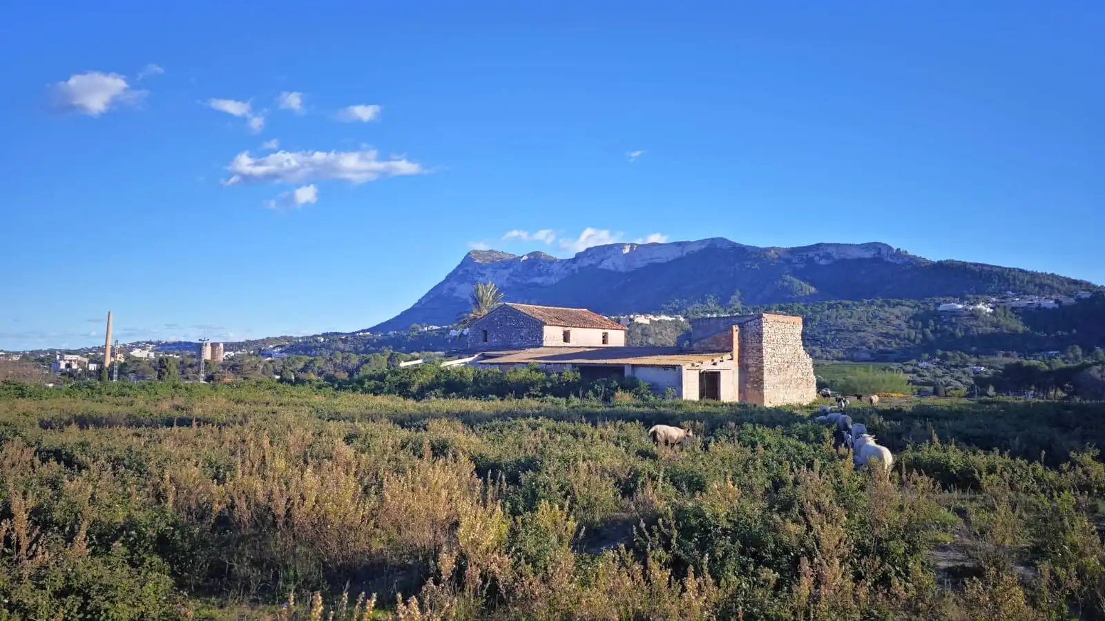 Terreny residencial en venda a La Xara - La Sella