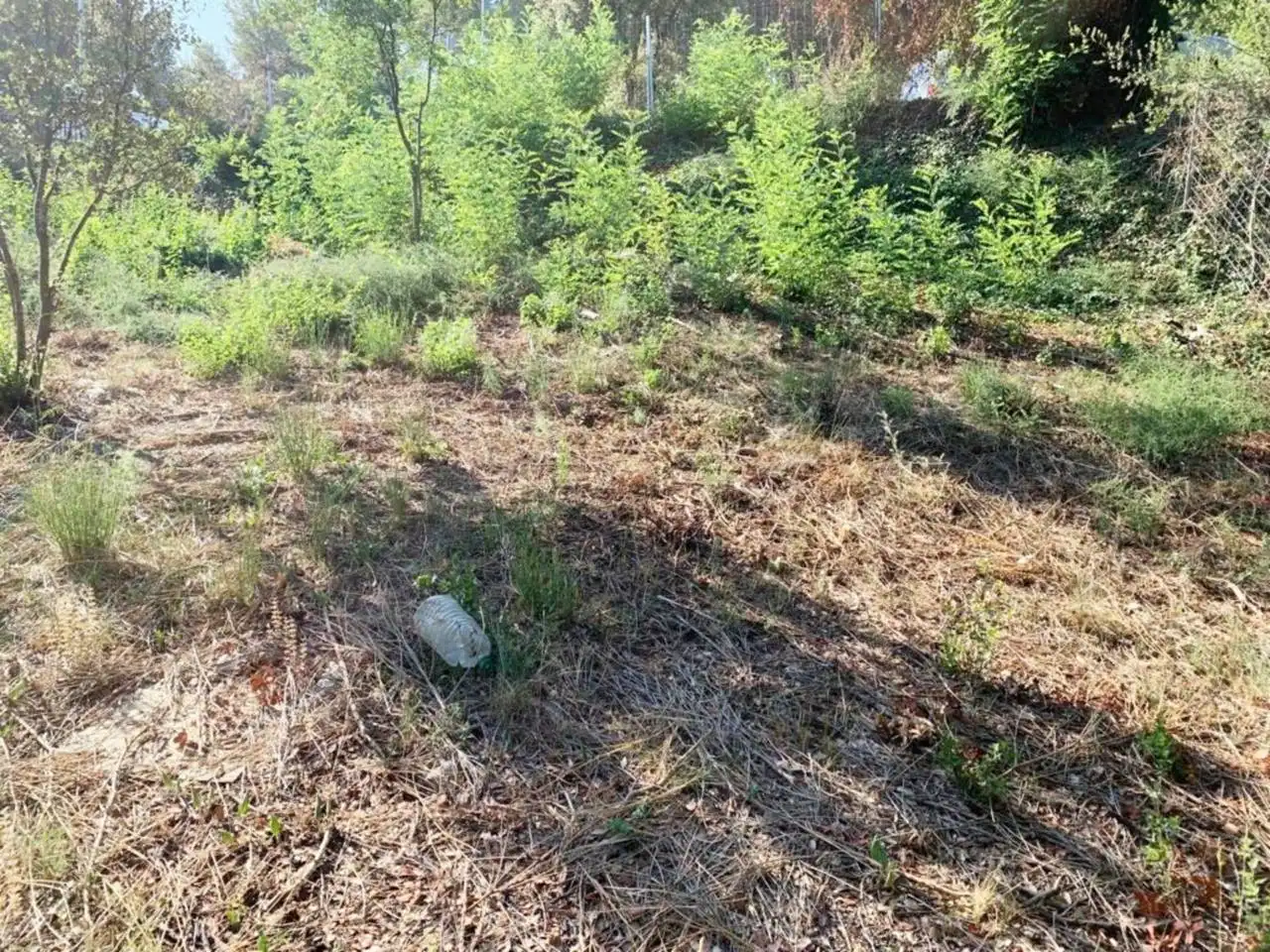 Wohnbaugrundstück zum Verkauf in Ponent, imagen 11