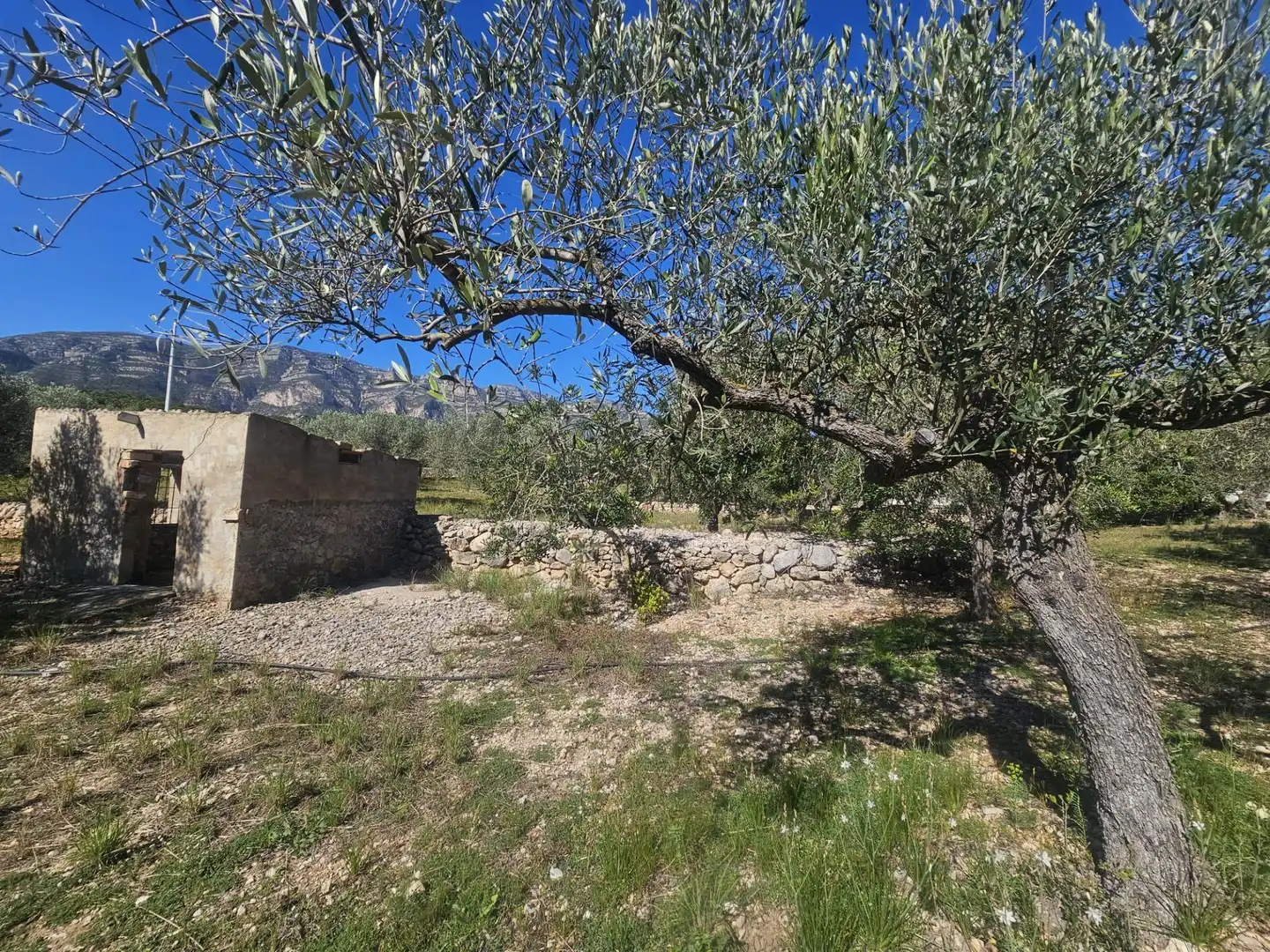 Casa rustica in vendita a Polígono 6 Parcela 206 CODONYOL. ALCANAR [TARRAGO, imagen 19