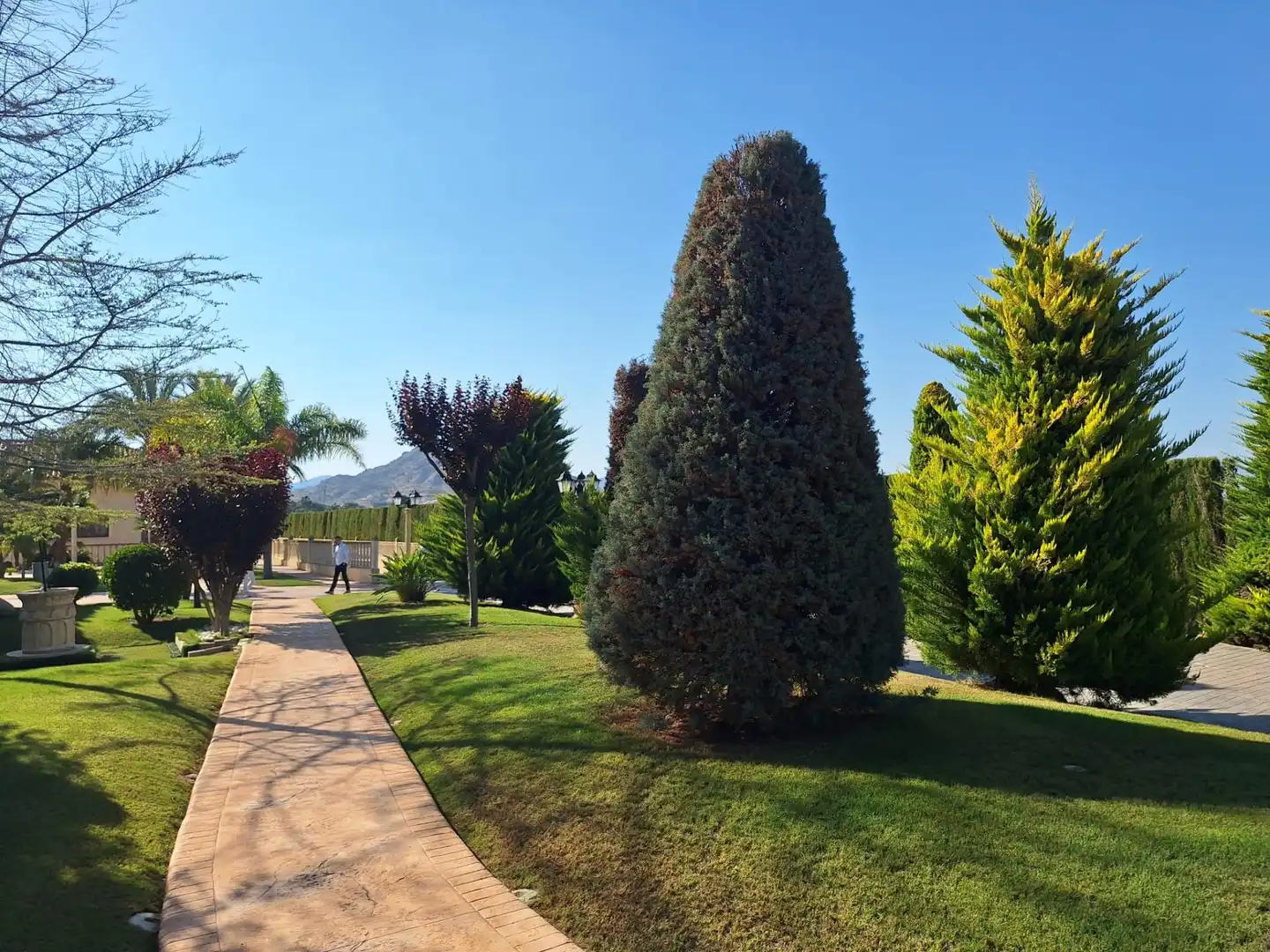 Chalet con piscina en venta en Pedanías Este, imagen 46