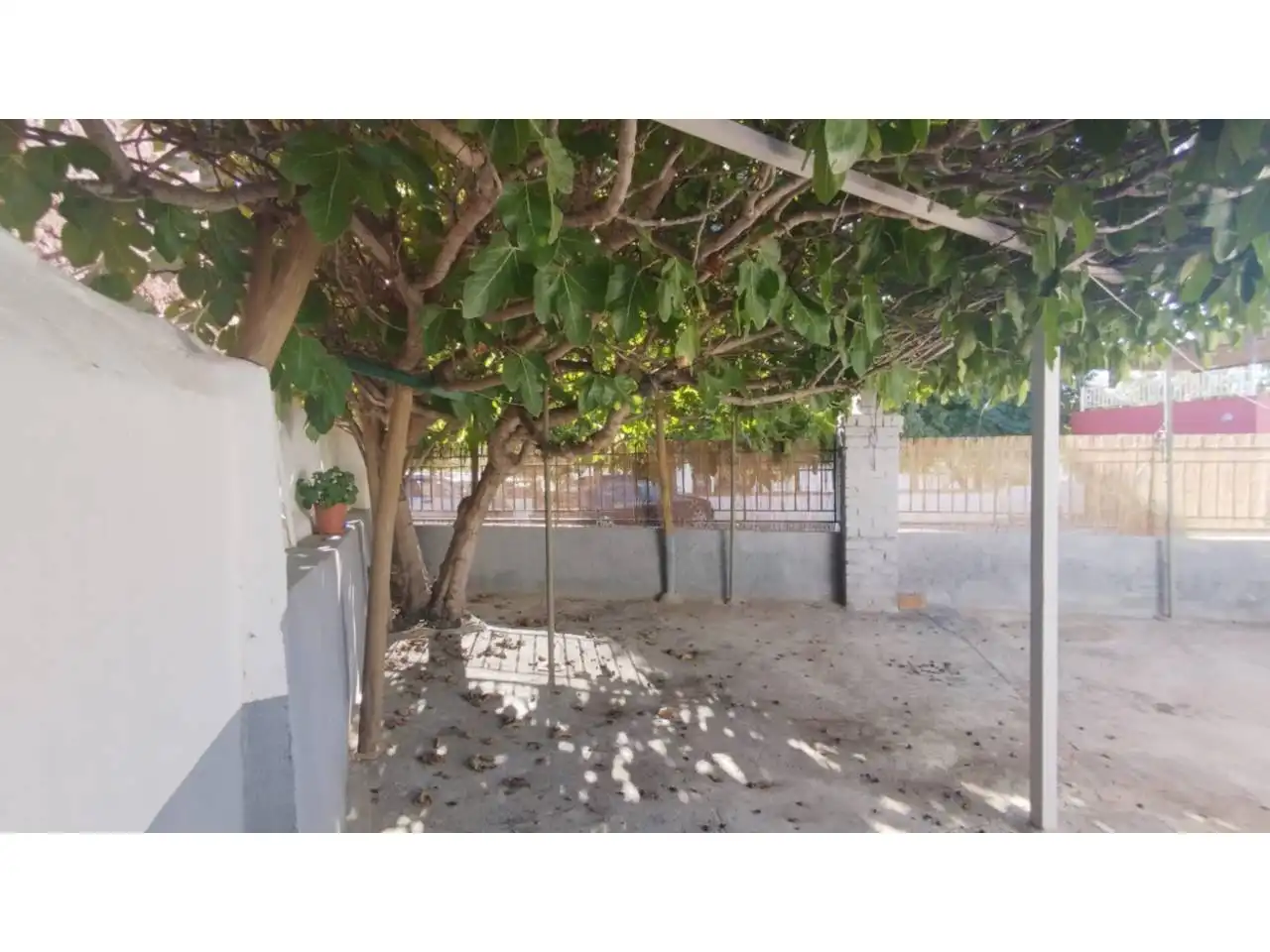 Casa o xalet en venda en Benalúa amb Jardí privat