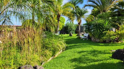 Foto 4 de Apartament en venda a Playa Jardín, Santa Cruz de Tenerife