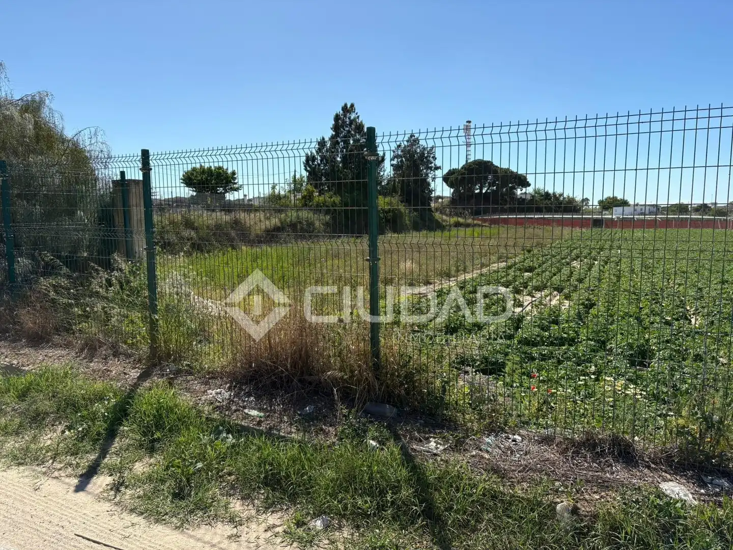 Terreno en venta en Sanlúcar de Barrameda