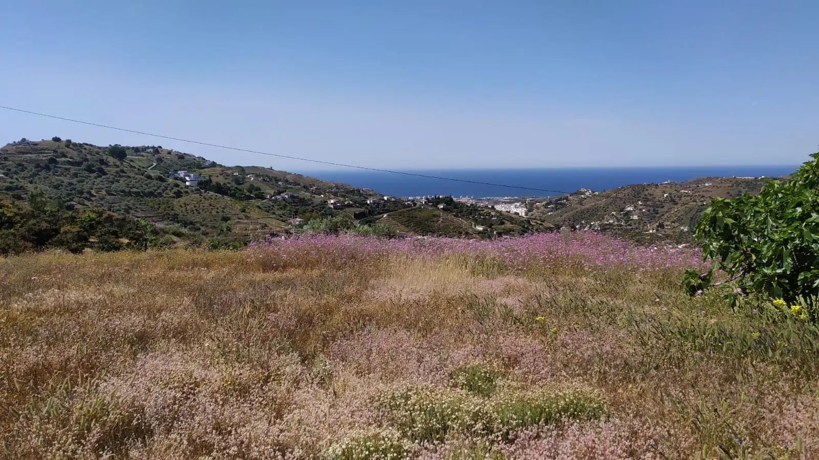 Country house zum Verkauf in Diseminado Pago Carrasco, 3051, Torrox Pueblo