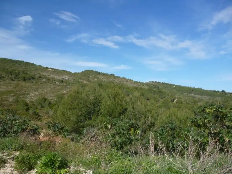 Terreny residencial en venda a Les Fonts - Els Molins, imagen 2