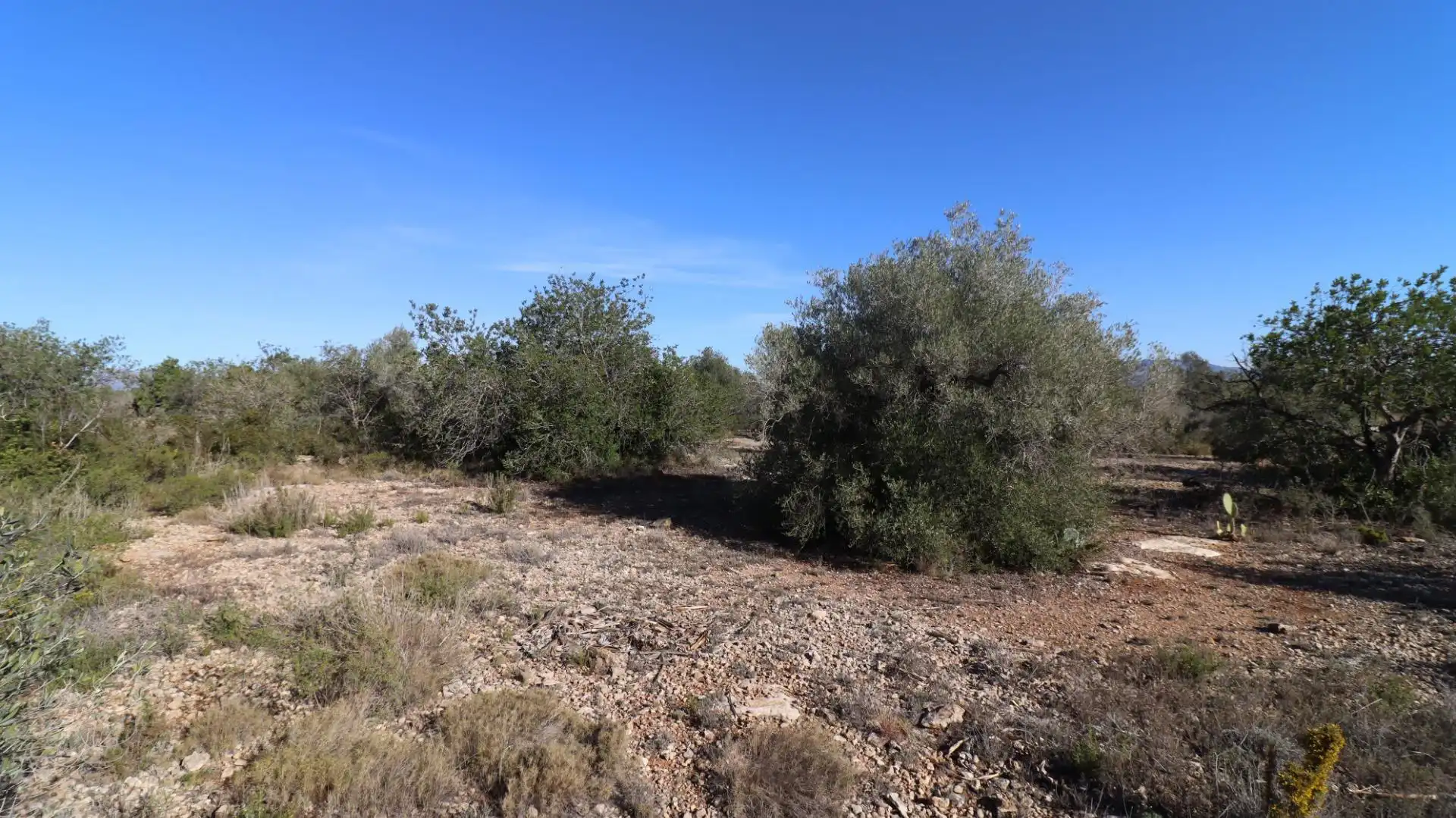 Rural land for sale in Partidas de interior - Zona Rústica, imagen 3