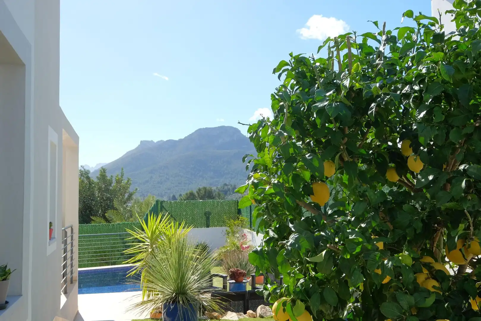 Jardí de Casa o xalet en venda en Alcalalí amb Aire condicionat, Calefacció i Jardí privat