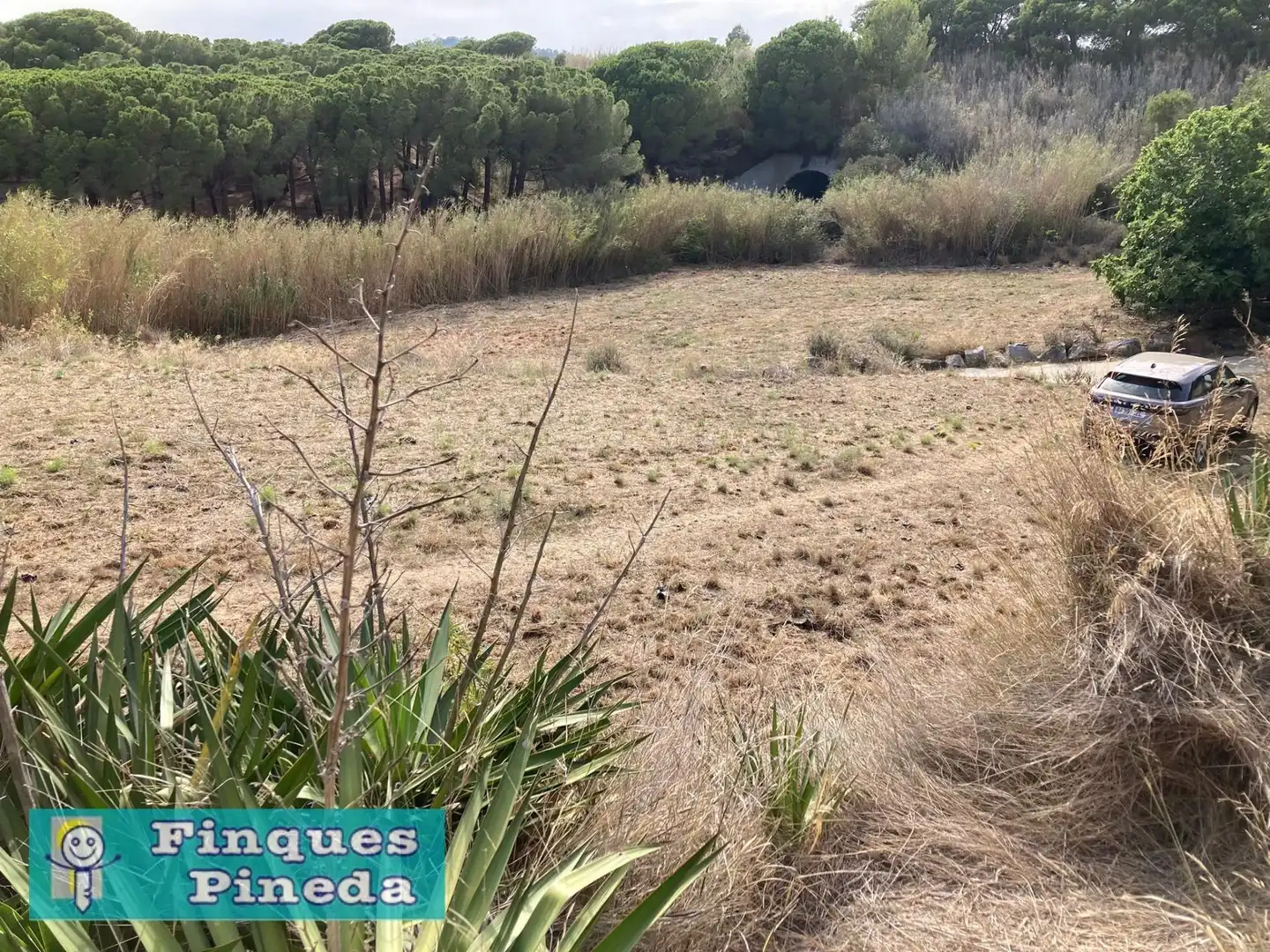 Rural land for sale in Calella, imagen 10
