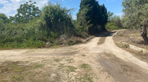 Terrenos diferentes para  poder disfrutar al aire libre incluso ponerte una casita de madera, imatge 2