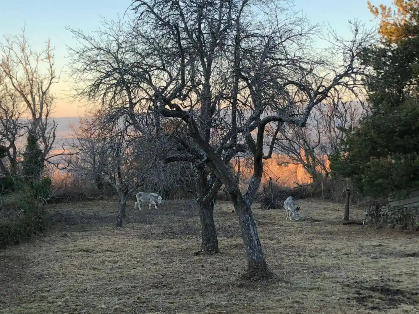 Vista exterior de Terreno en venta en Navaescurial