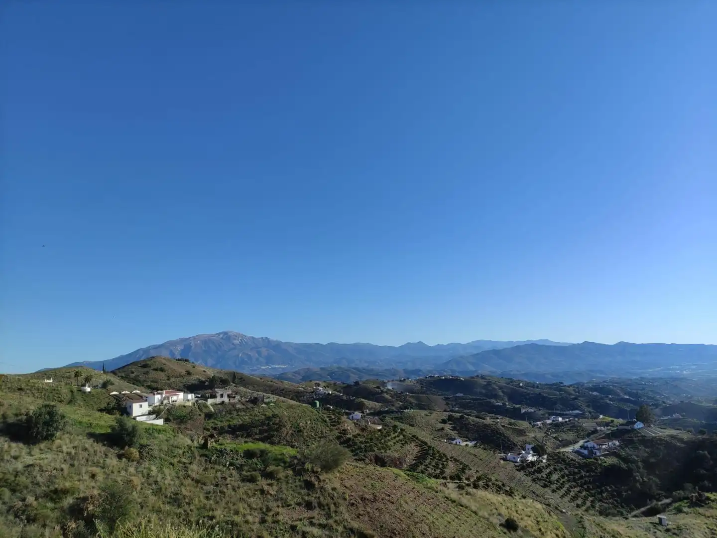 Vista exterior de Finca rústica en venta en Cútar con Jardín privado, Terraza y Piscina