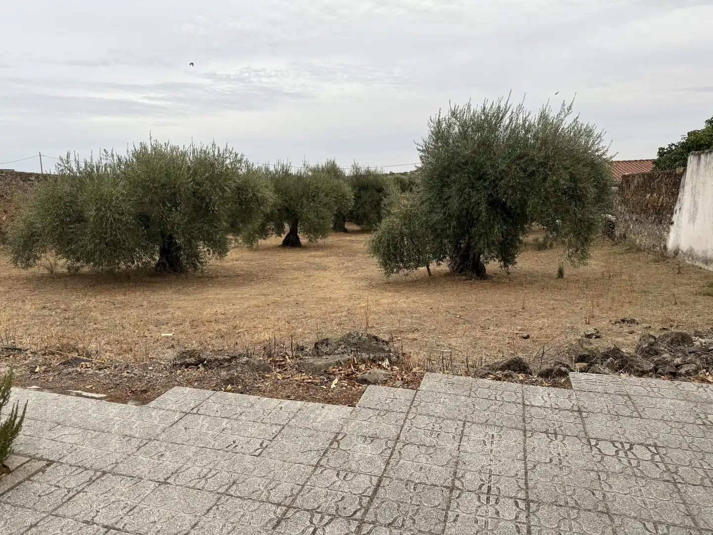 Terreno en venta en Villamesías