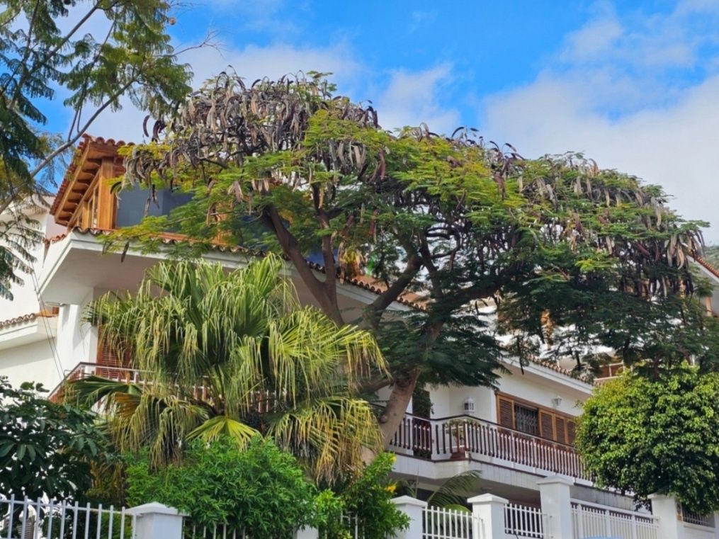 Exterior view of House or chalet for sale in  Santa Cruz de Tenerife Capital  with Terrace