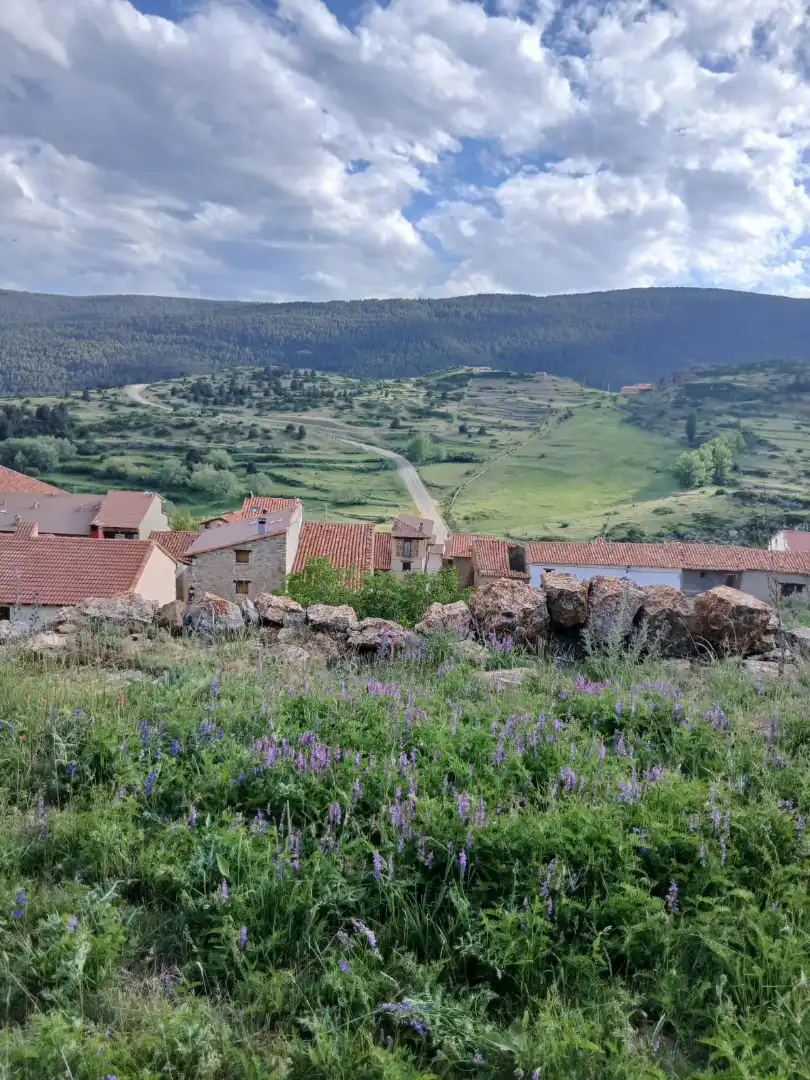 Vista exterior de Casa o chalet en venta en Valdelinares