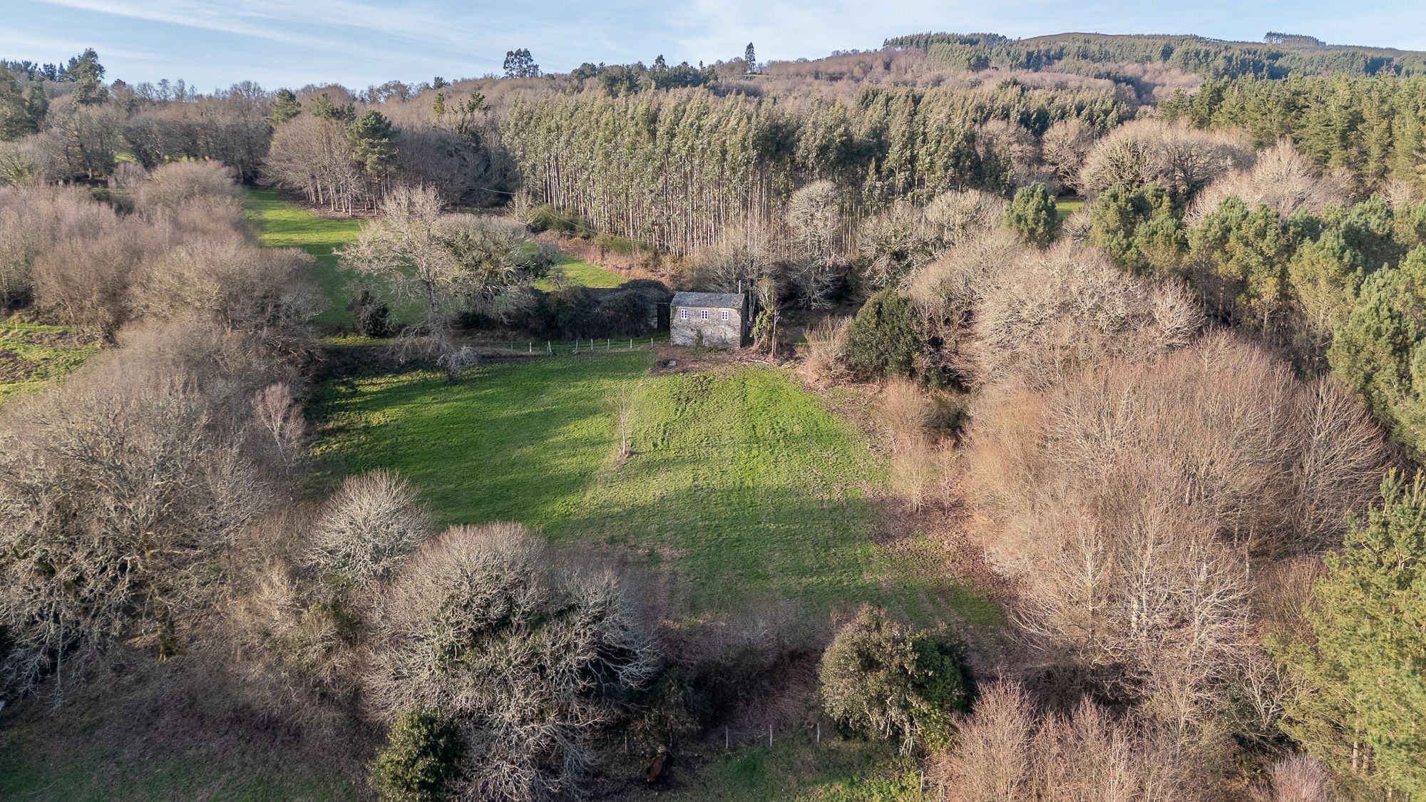 Finca rústica en venta en Vilalba