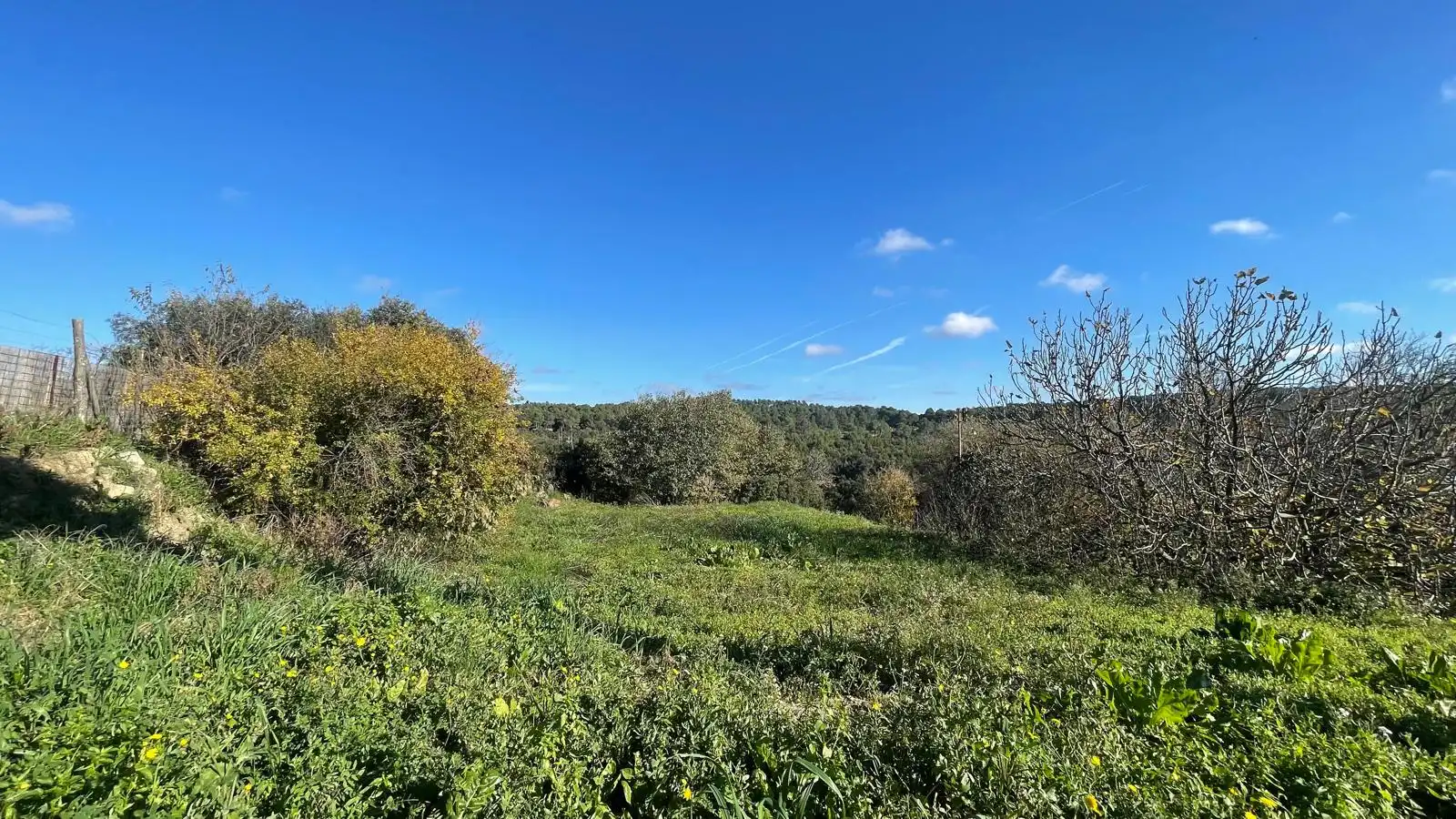 Finca rústica en venta en Vilopriu con Jardín privado y Terraza