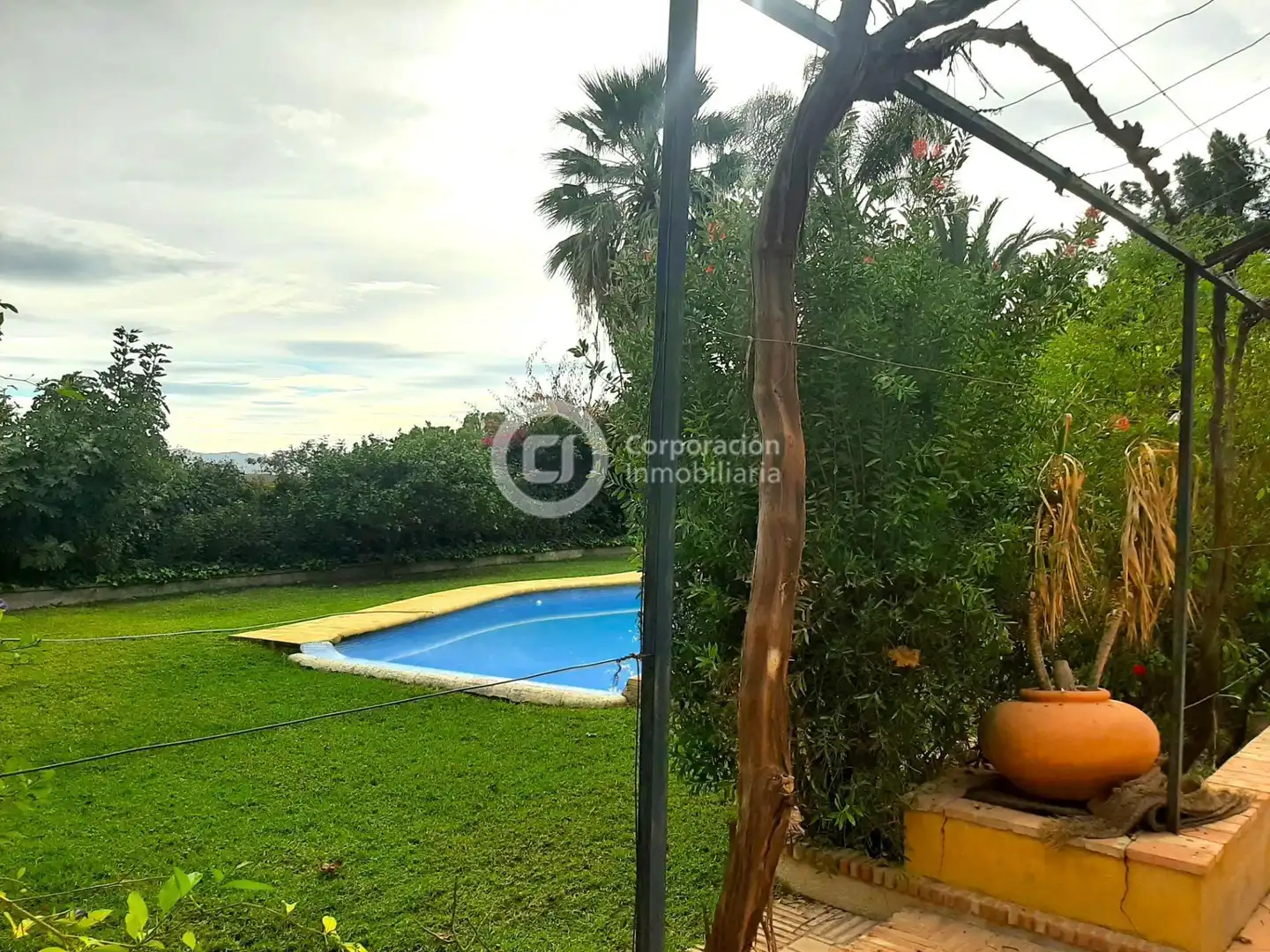 Jardín de Casa o chalet en venta en Lorca con Jardín privado, Terraza y Trastero
