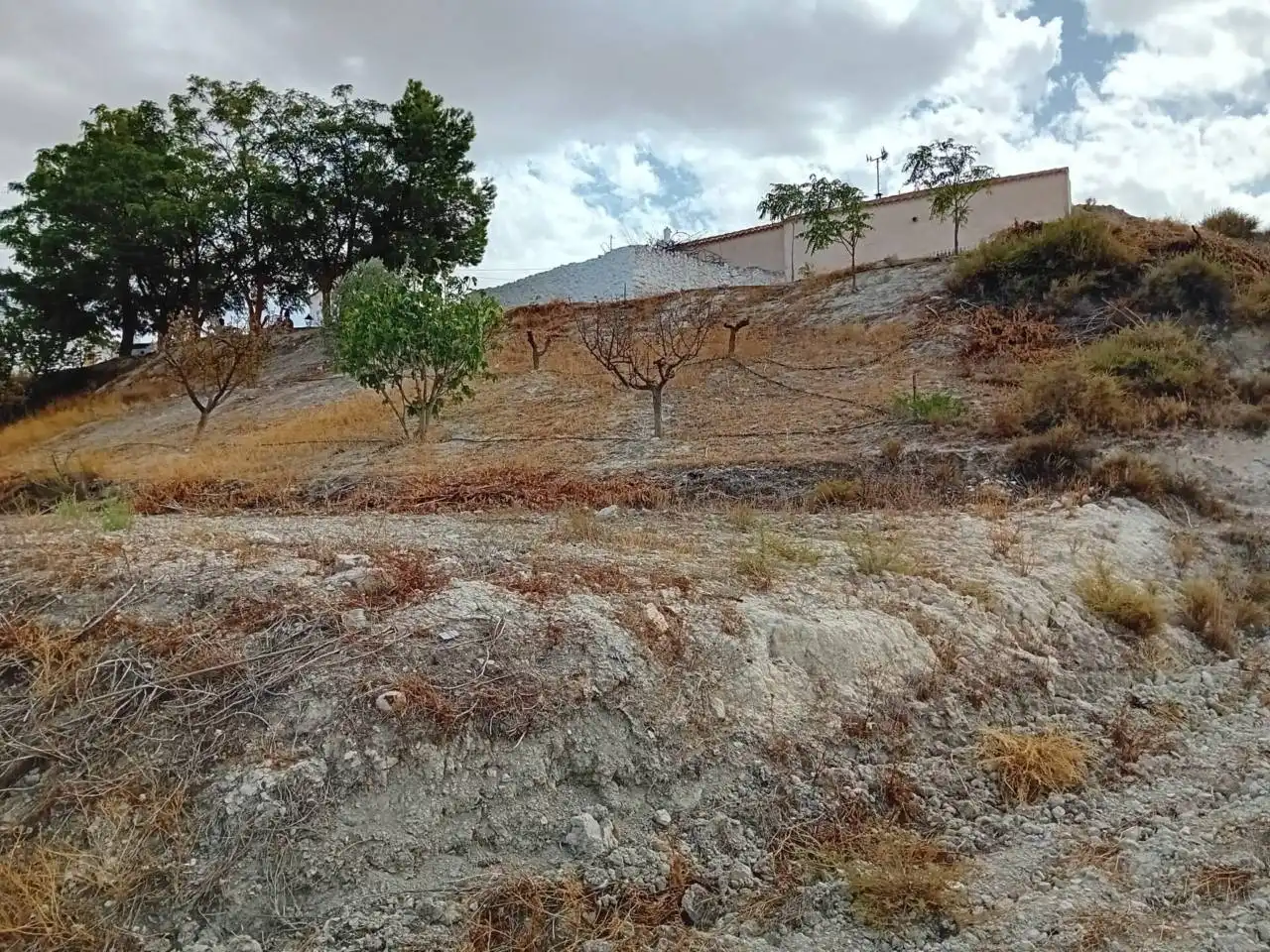 Industrial land for sale in Orce