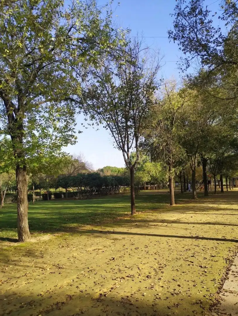Business premises for sale in Norte, imagen 9