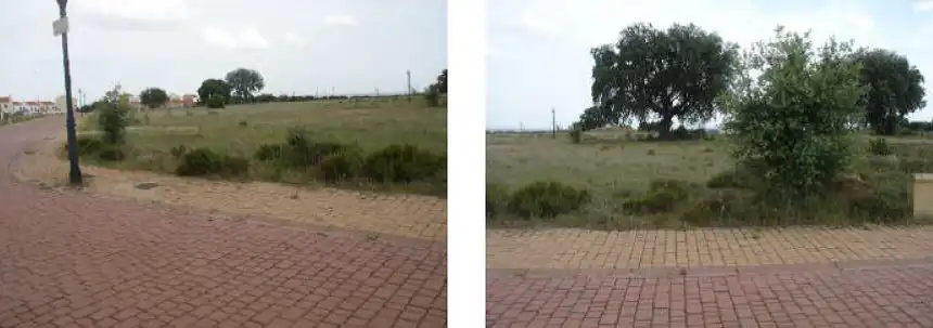 Grundstücke und Bauplätze zum Verkauf in Carrascal de Barregas, imagen 2