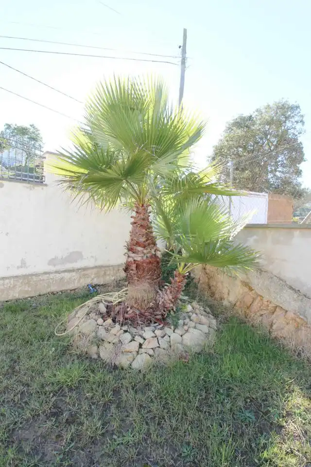 Casa amb jardí en venda a calle de Sant Pol, imagen 4