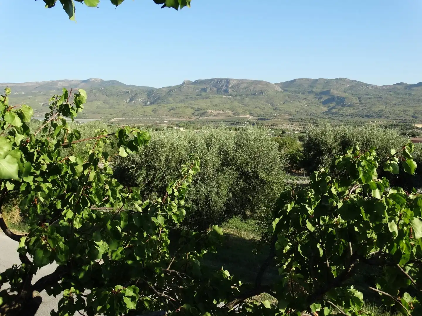Terreny rústic en venda a Moratalla, imagen 16