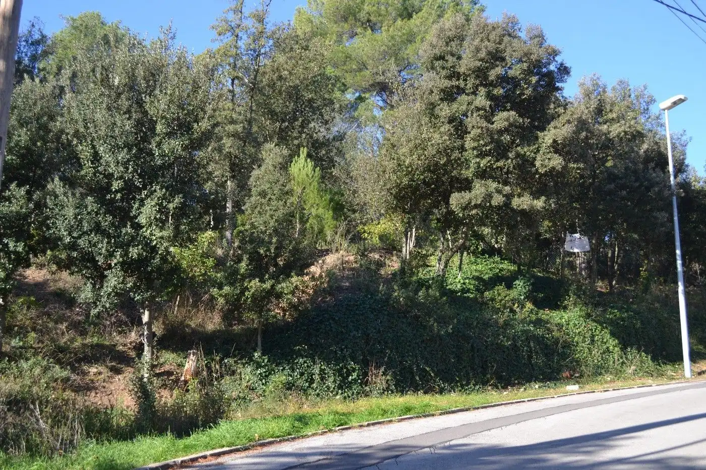 Residential land for sale in El Racó - Sant Feliu del Racó