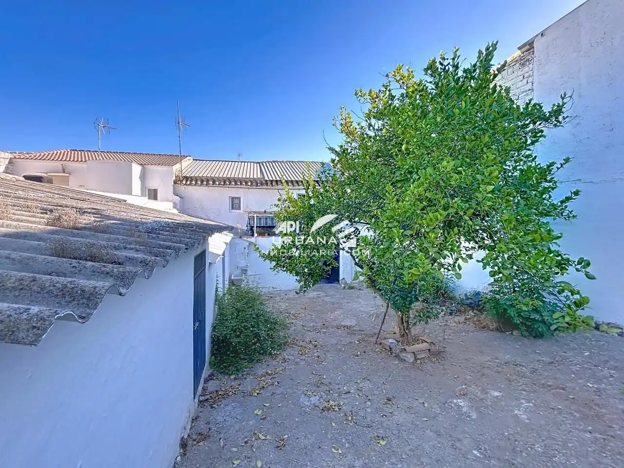 Vista exterior de Casa o xalet en venda en Lucena