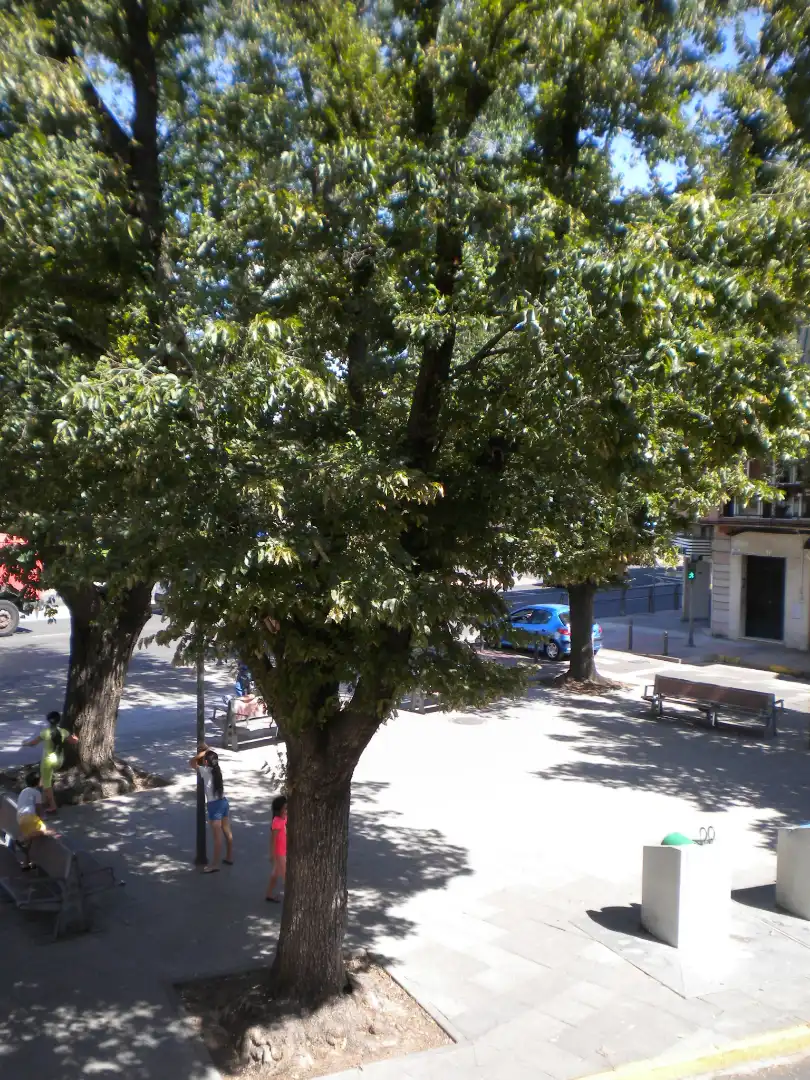 Dúplex en venta en Calle Infantes, Plaza de Toros