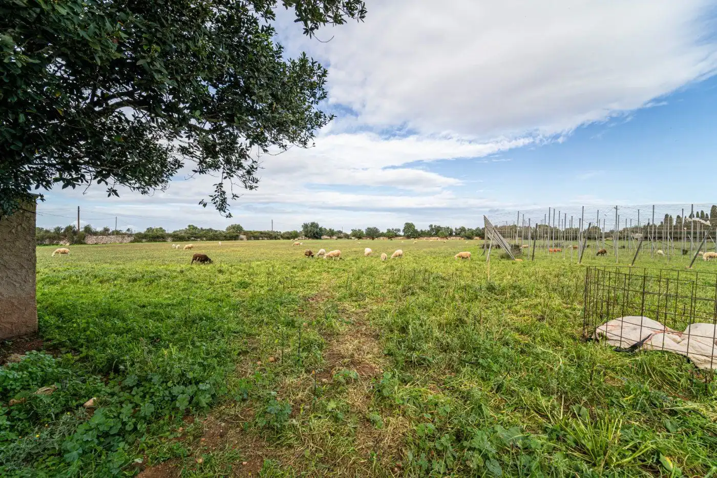 Residential land for sale in S'Horta - Cas Concos des Cavaller - Es Carritxó, imagen 7