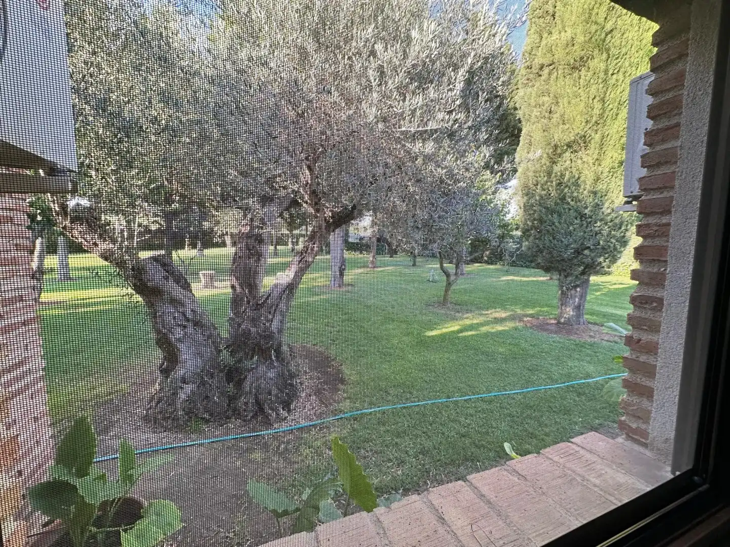 Jardín de Casa o chalet en venta en Montearagón con Aire acondicionado, Calefacción y Jardín privado