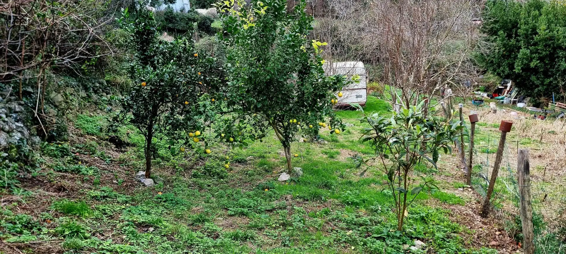 Terreno en venta en Oriñón - Allendelagua