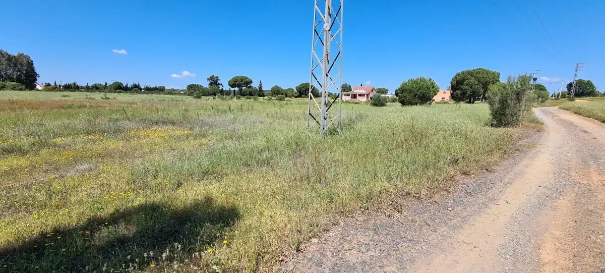 Terrenos y solares en venta en Gibraleón, imagen 3
