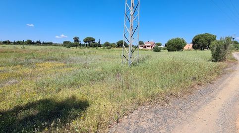 Finca Rúst. en venta en Gibraleón., immagine 3