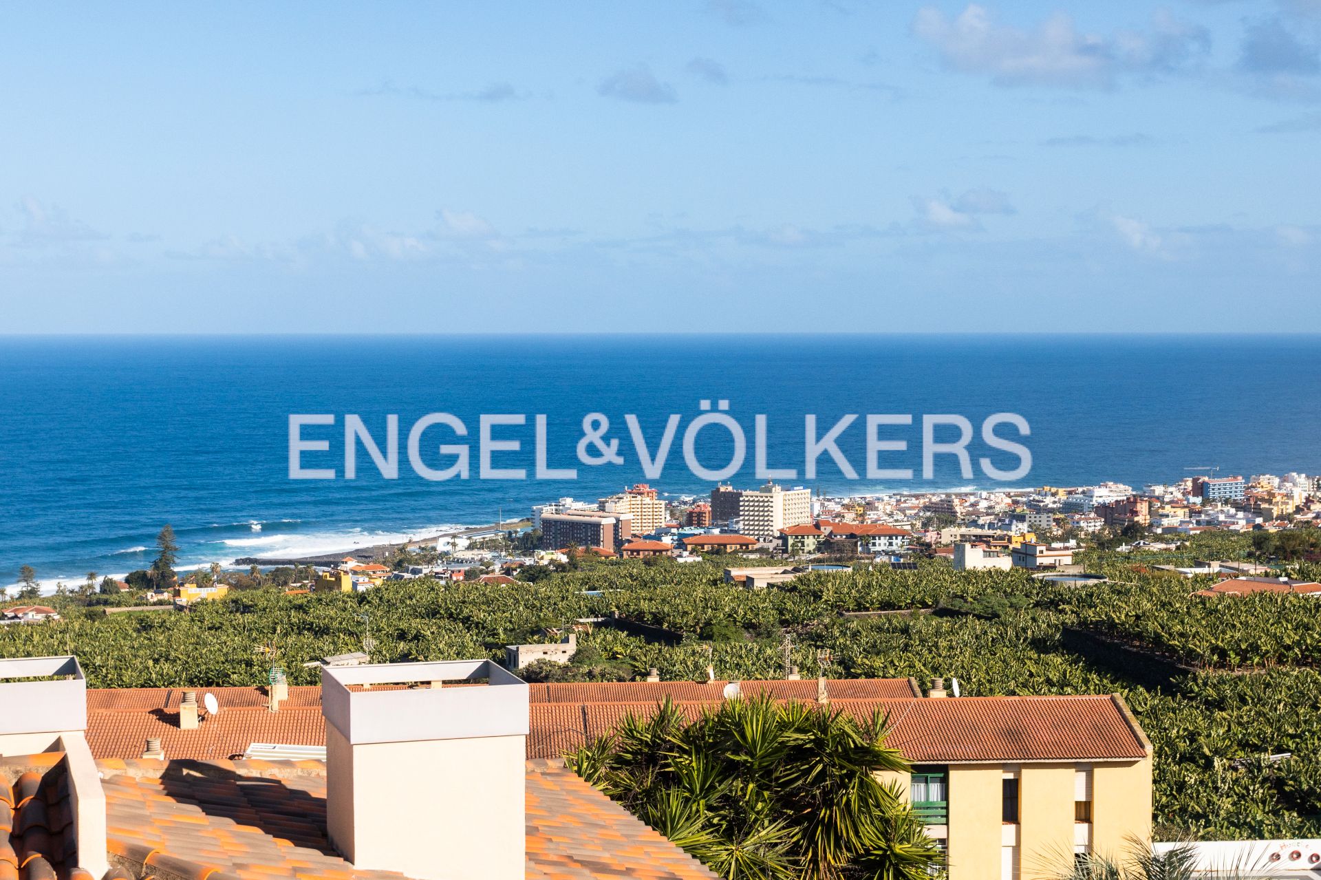 Single-family semi-detached for sale in Calle Rosa, Zona Botánico