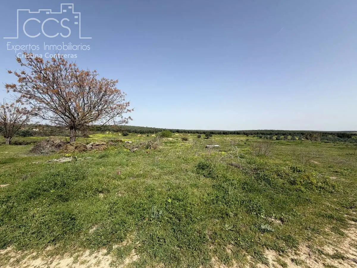 Country homes for sale in Pilas  with Swimming Pool