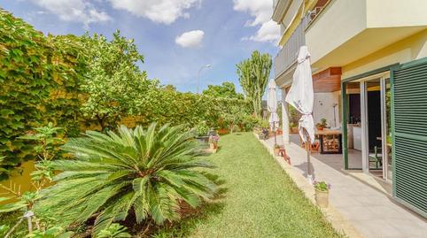 Photo 4 of Planta baja for sale in Sa Teulera, Illes Balears