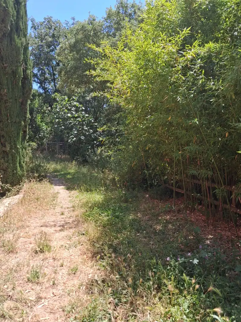 Casa con jardín en alquiler en Vallgorguina, imagen 14