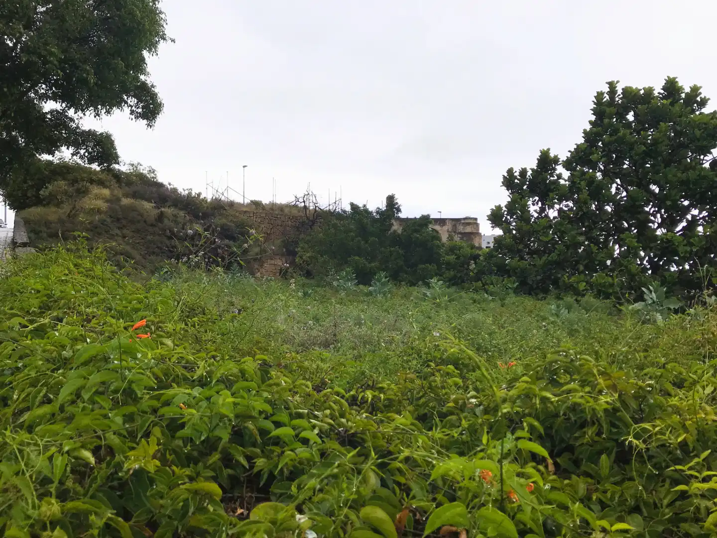 Residencial en venta en Güímar