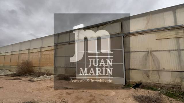 Terreno en Venta en Ontur