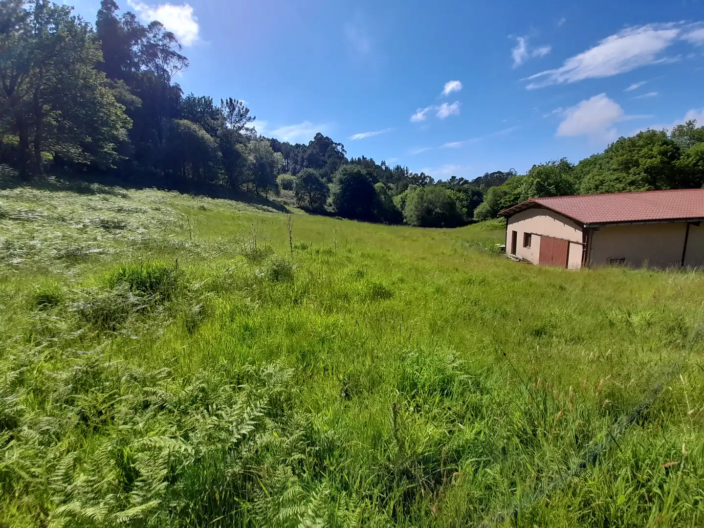 Finca rústica en venta en Lemoiz