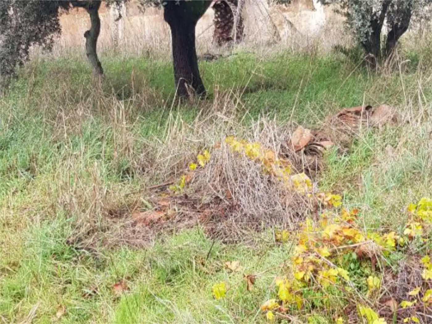 Haus zum Verkauf in Calle Extremadura 1, imagen 2