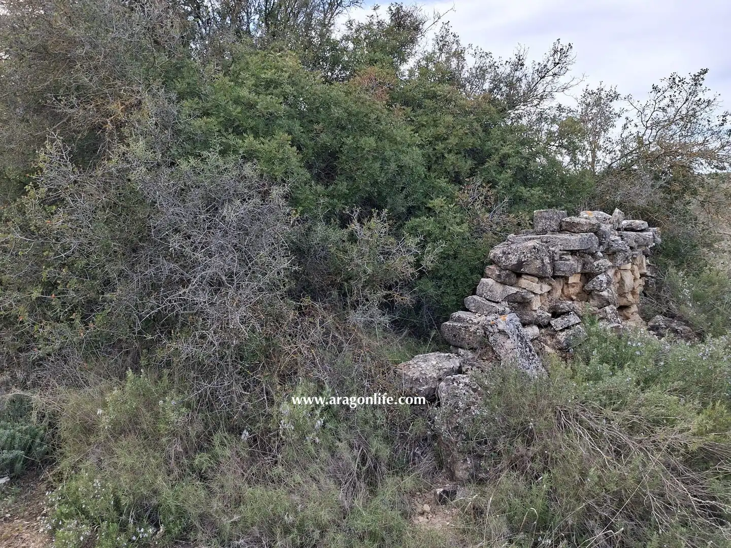 Terreni e lotti in vendita a Edificio Diseminados, imagen 5