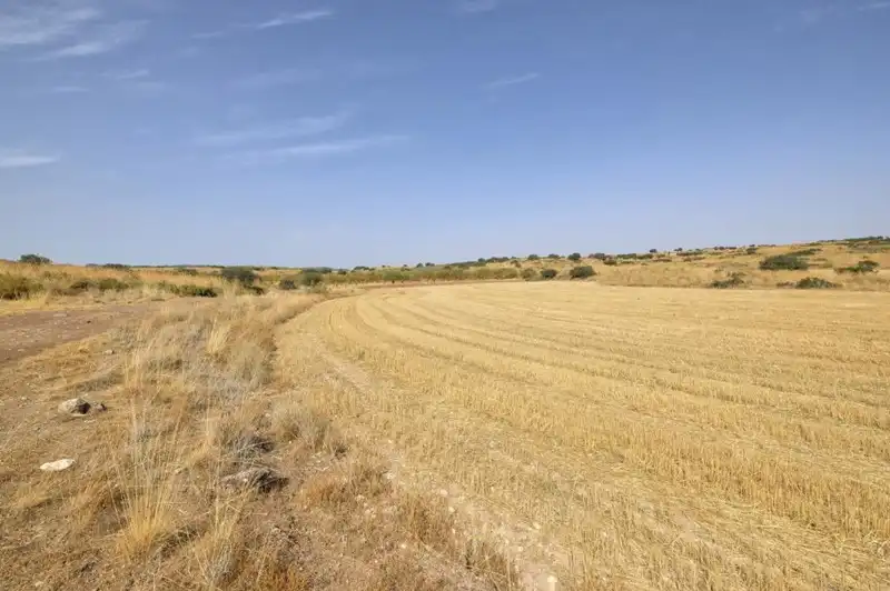 Terreni e lotti in vendita a Padul, imagen 28