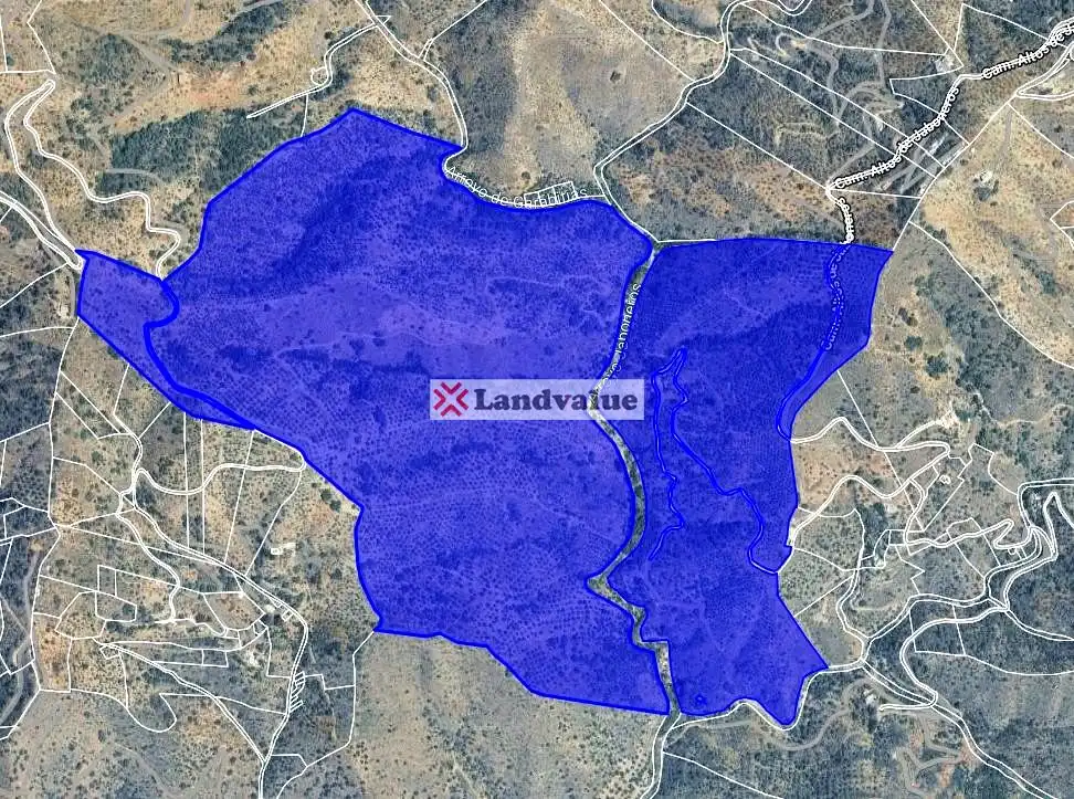 Terrenys i solars en venda a PARAJE JABONEROS Y OTROS, imagen 2