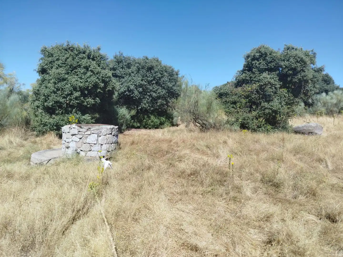 Finca rústica en venta en Fresnedilla, Ávila