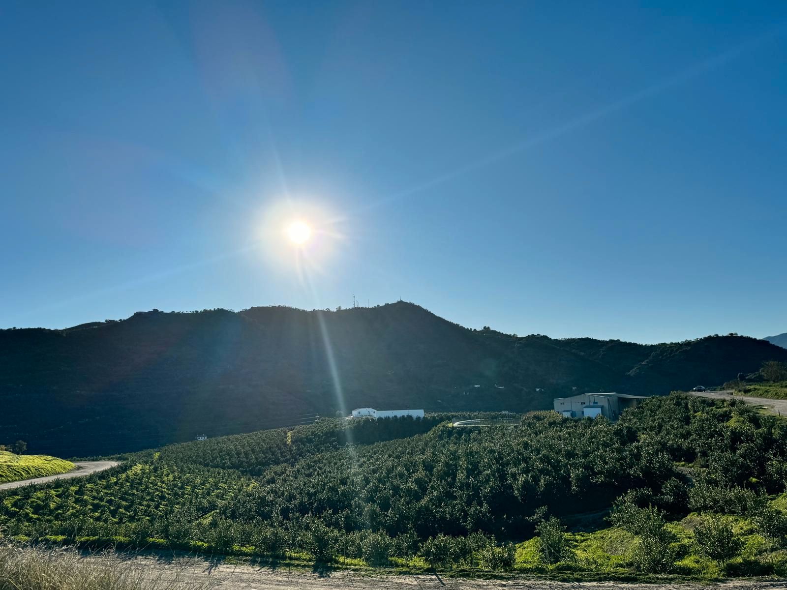 Exterior view of Country house for sale in Pizarra