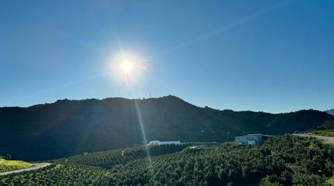 Foto 2 de Finca rústica en venda a Calle Virgen de la Cabeza, Pizarra, Málaga