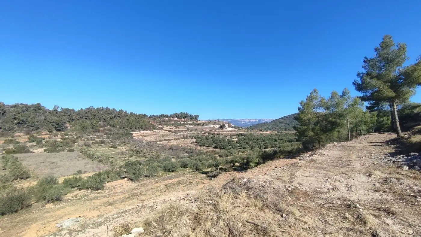 Rural land for sale in Carrer de les Pinyeres 24, imagen 7